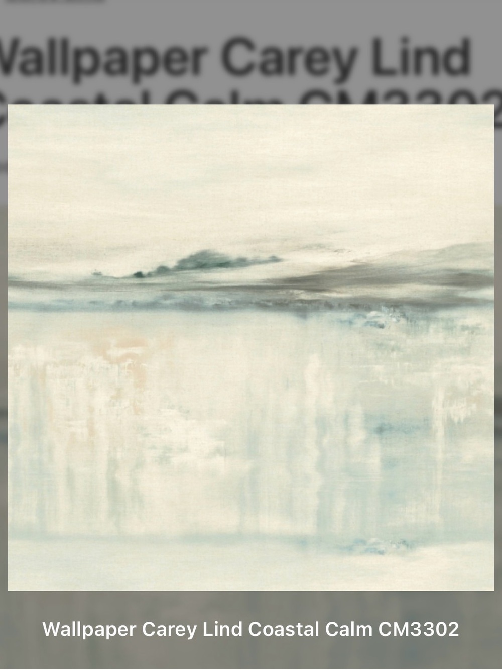 Carey Lind 1 Double Roll Coastal Calm Wallpaper CM3302  27” X 27’ = 60.8 Sq Ft